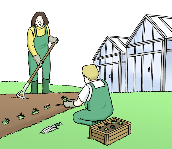 Arbeiten im Garten Illustration: Zwei Menschen arbeiten in einer Gärtnerei. Sie pflanzen etwas und haken ein Beet.