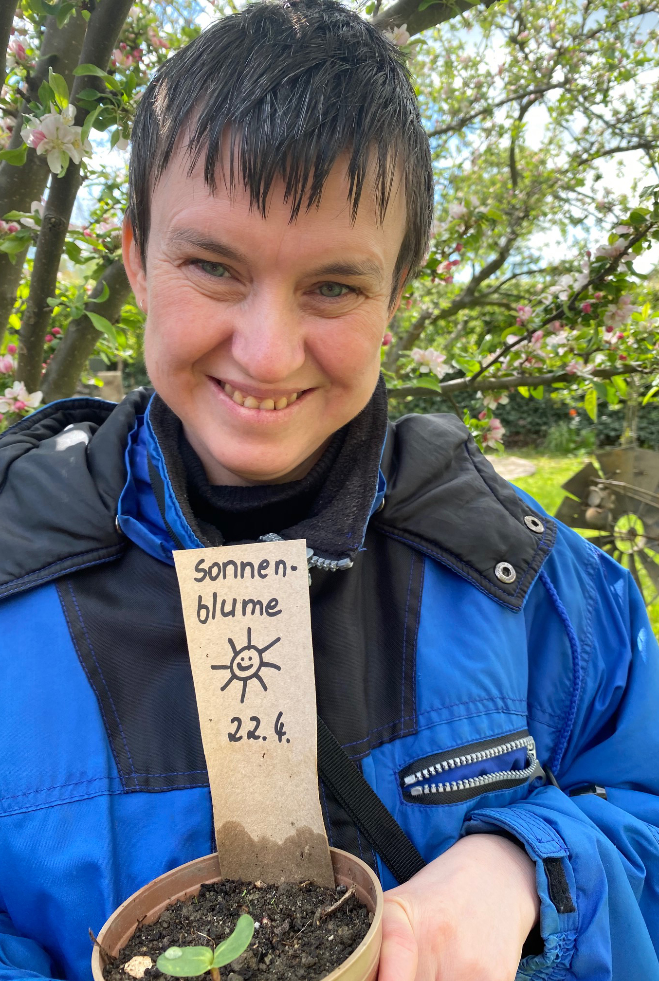 Sonnenblumen-Aktion der Lebenshilfe Stollberg Sonnenblumen-Aktion der Lebenshilfe Stollberg
