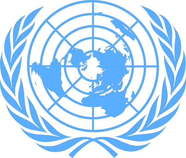 UN Logo