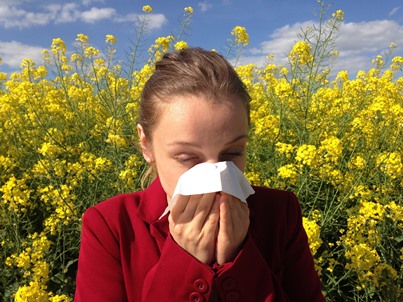 Allergien Eine Frau putzt sich die Nase. Sie hat eine Allergie.