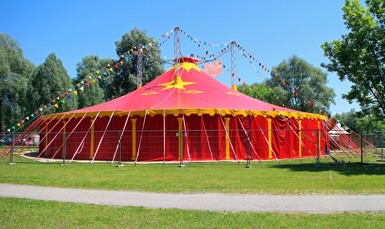 Zirkus Ein Zirkuszelt auf einer Wiese