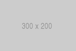 300x200 dummy image 300x200 dummy image alt-tag