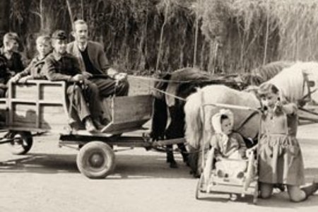 Tom Mutters mit den Kindern von Goddelau beim Ausflug mit der Pferdekutsche