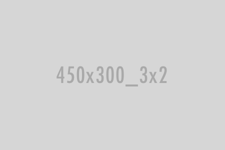 450x300 dummybild 450x300 dummy image