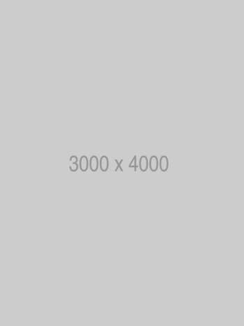 3000x4000 alt tag