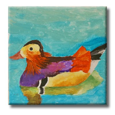 Ente auf der Enz Ente auf der Enz